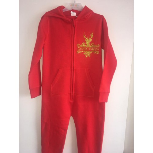 personalised christmas onesie